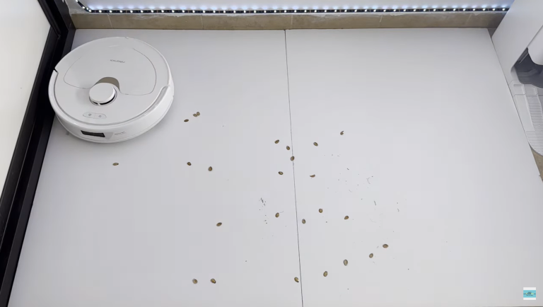 רובוט רובורוק